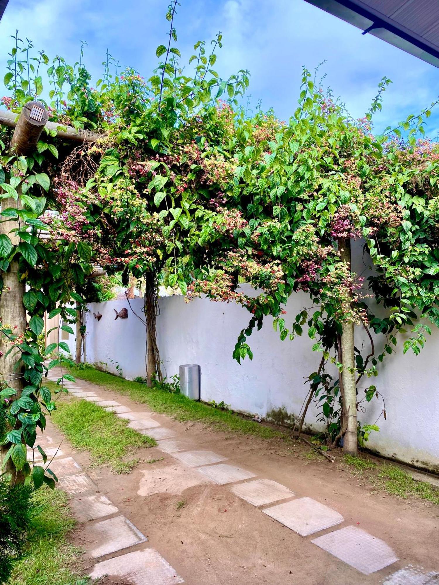 Pousada Paraiso Dos Milagres São Miguel dos Milagres Extérieur photo